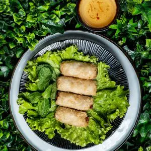 Nems poulet 🇻🇳